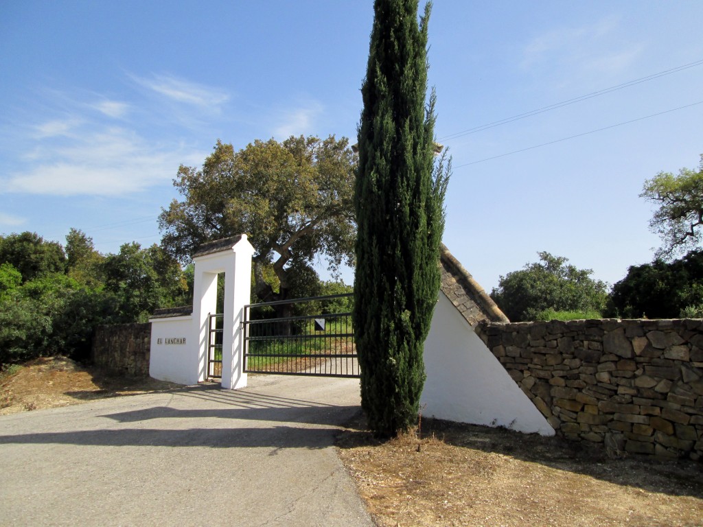 Foto: Entrada al Cortijo el Lanchar - Naveros (Cádiz), España
