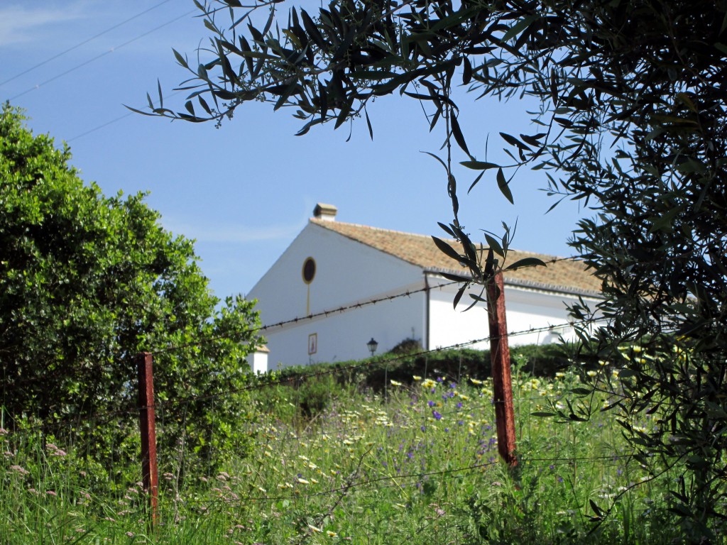 Foto: Cortijo El Lanchar - Naveros (Cádiz), España