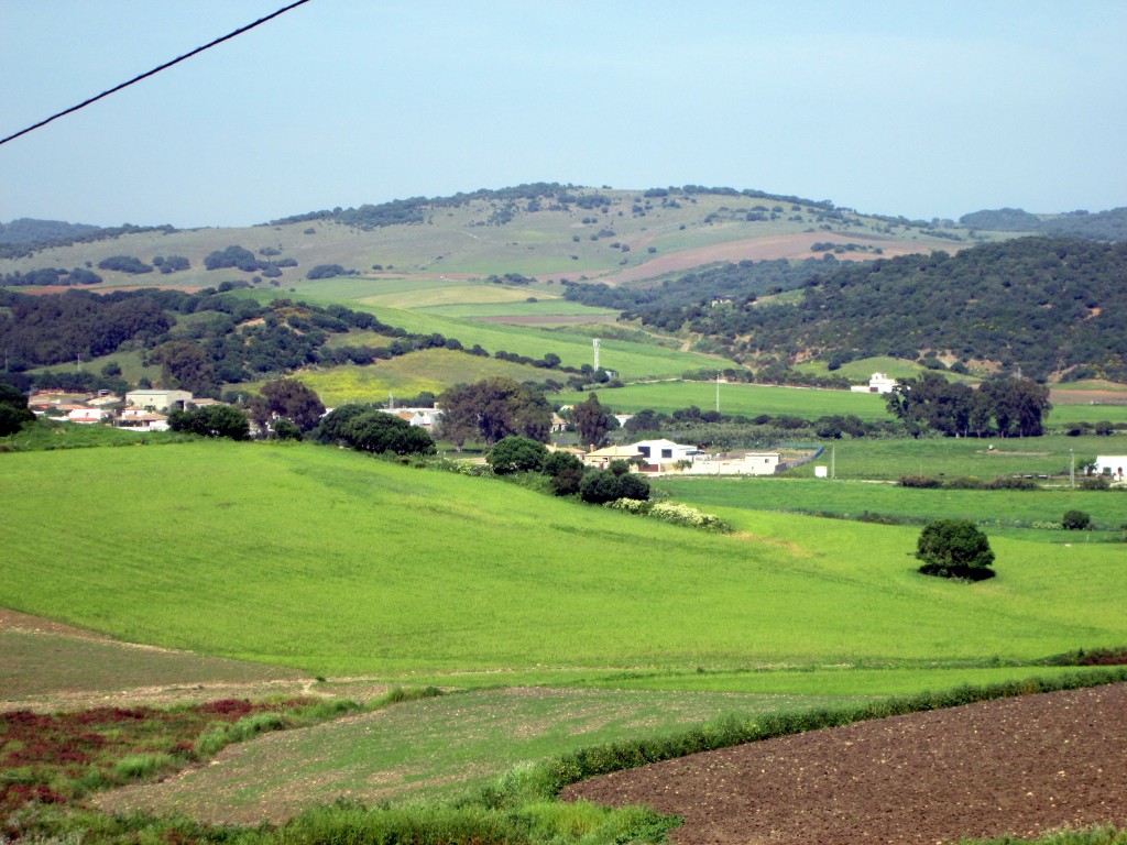 Foto: Cañada del Taraje - Naveros (Cádiz), España