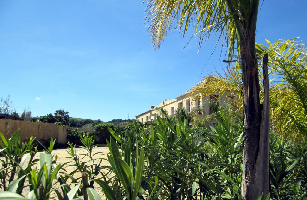 Foto: Alojamiento Rural de Lujo-La Siesta- - Los Parralejos (Cádiz), España