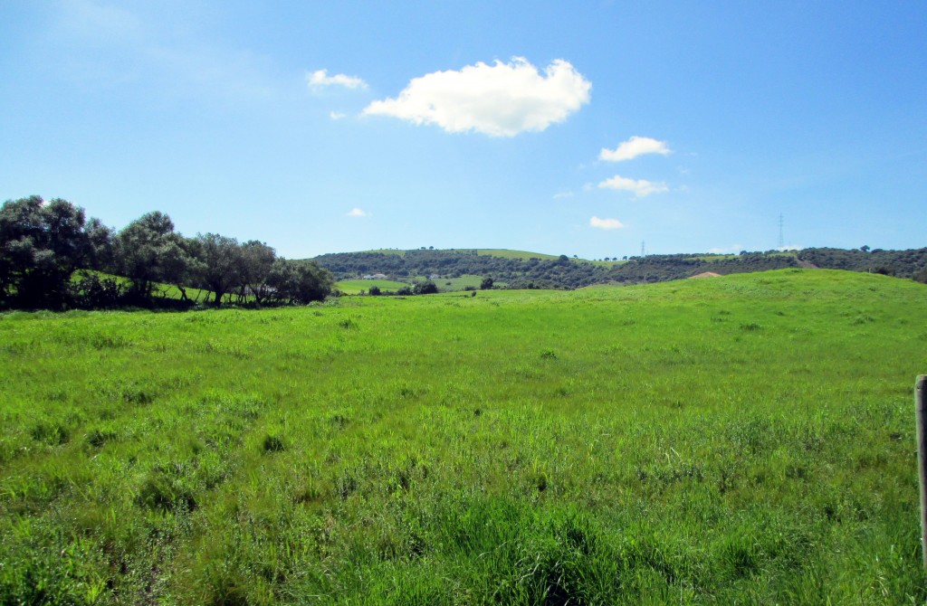 Foto: Vistas desde Los Parralejos - Los Parralejos (Cádiz), España