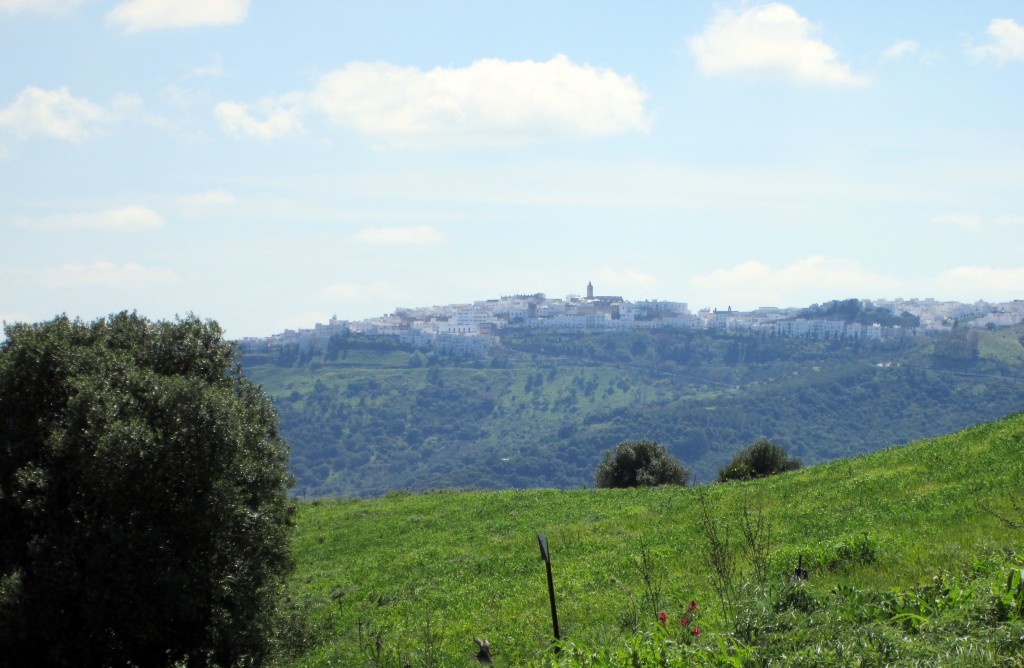 Foto: Veger desde Parralejos - Los Parralejos (Cádiz), España