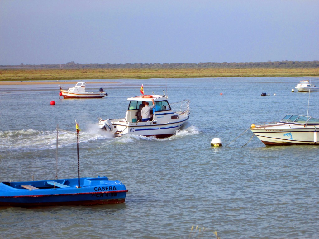 Foto: Navegando río arriba - Matagorda (Cádiz), España