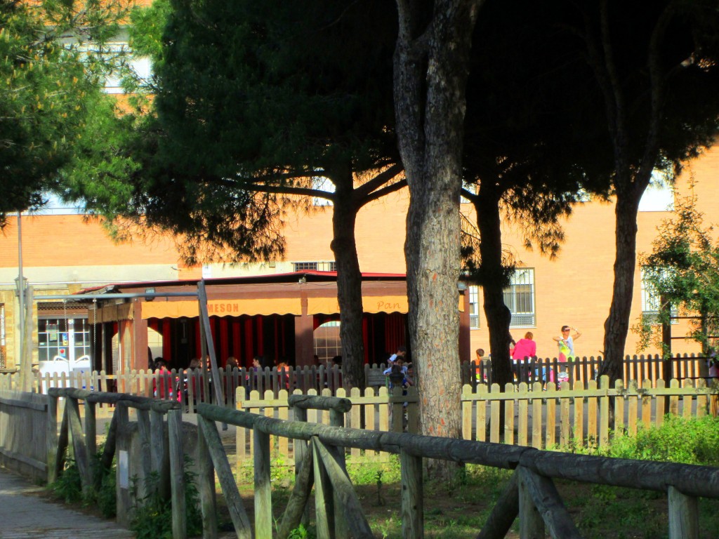 Foto: Mesón Pan Frito - Matagorda (Cádiz), España