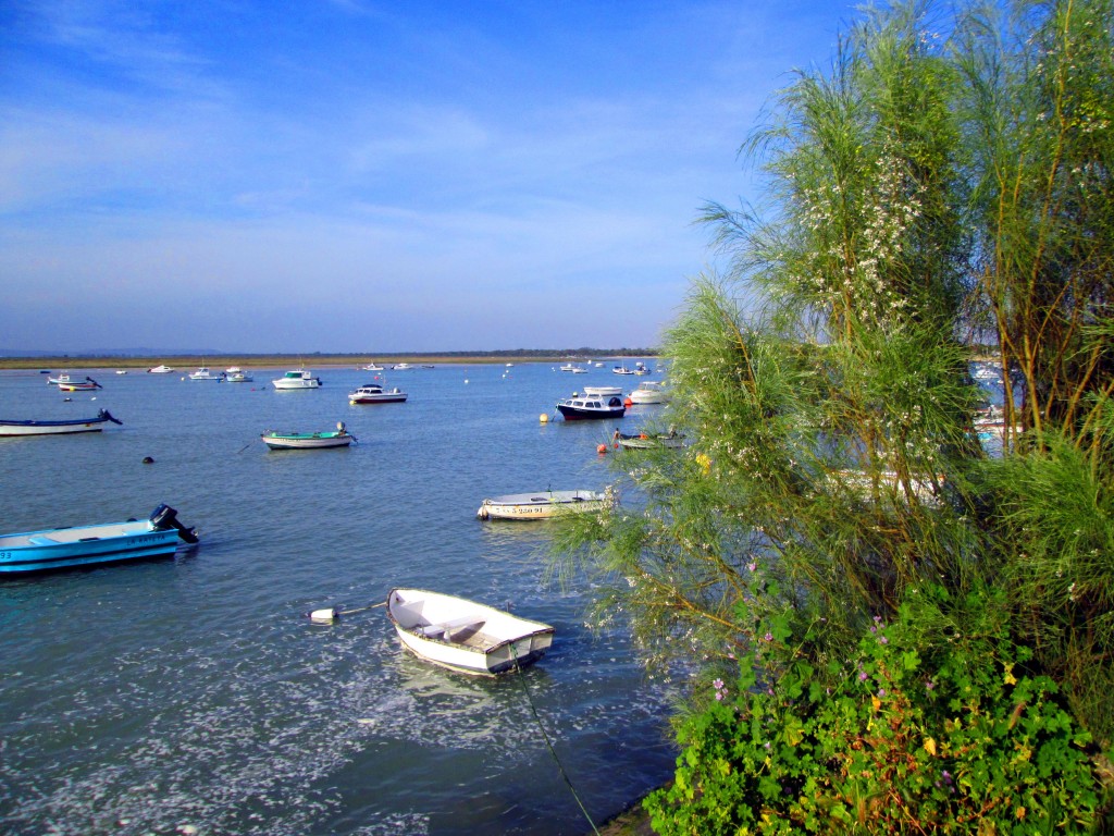 Foto: Río San Pedro - Matagorda (Cádiz), España