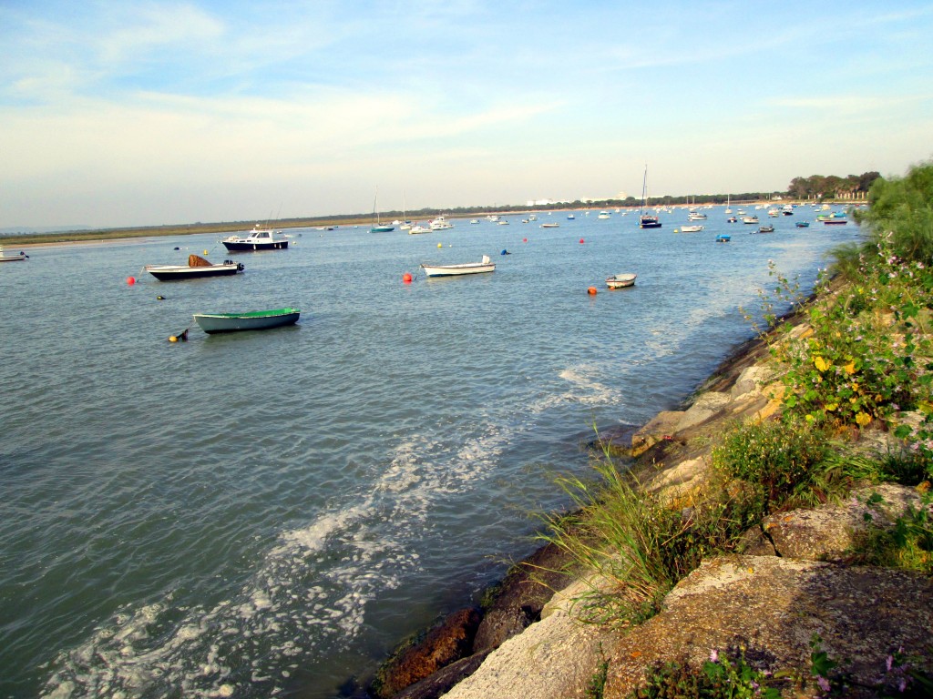Foto: Río San Pedro - Matagorda (Cádiz), España