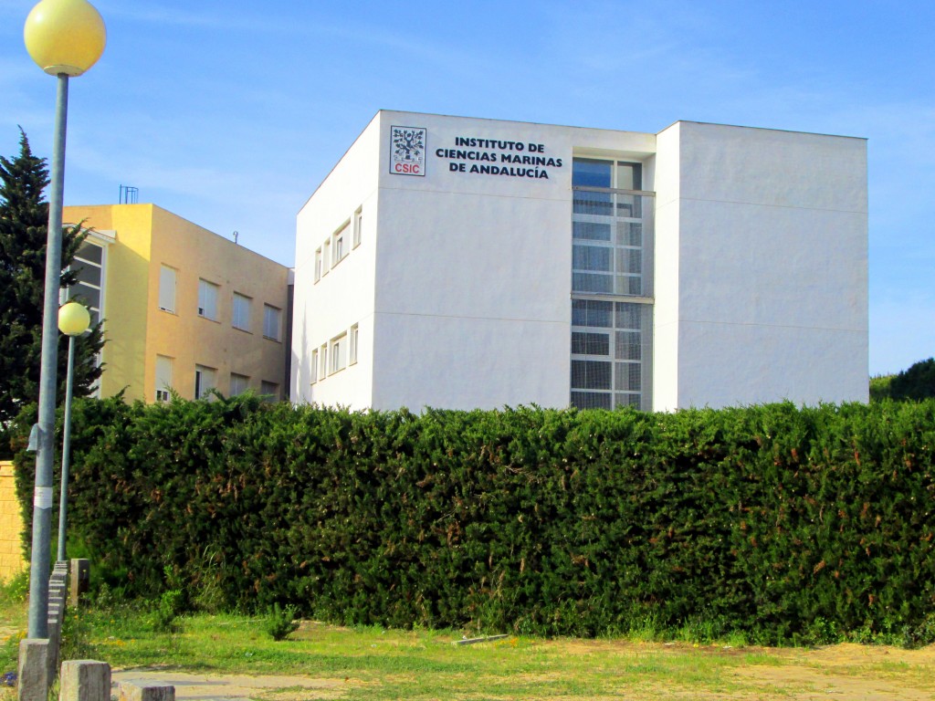 Foto: Instituto de Ciencias Marinas - Matagorda (Cádiz), España