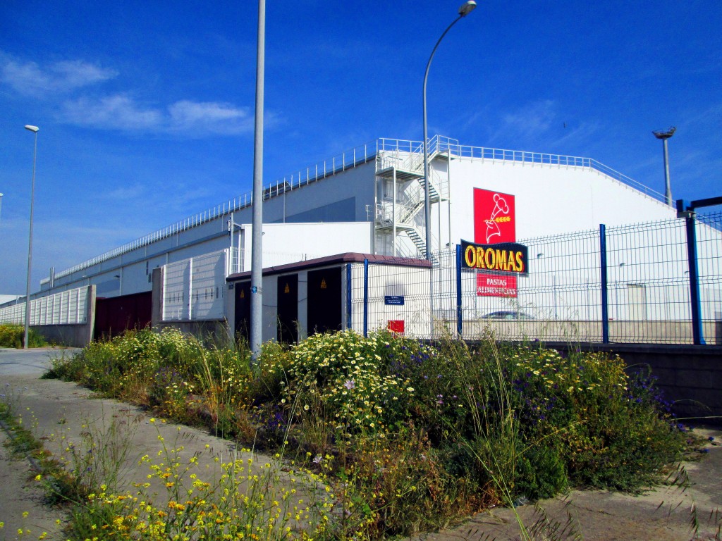 Foto: Aromas - Matagorda (Cádiz), España