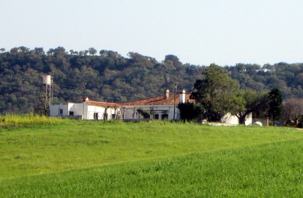 Foto: Cortijo La Rioja - Medina Sidonia (Cádiz), España