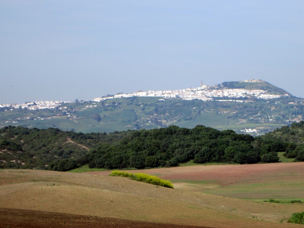 Foto: Vista de Medina Sidonia - Medina Sidonia (Cádiz), España
