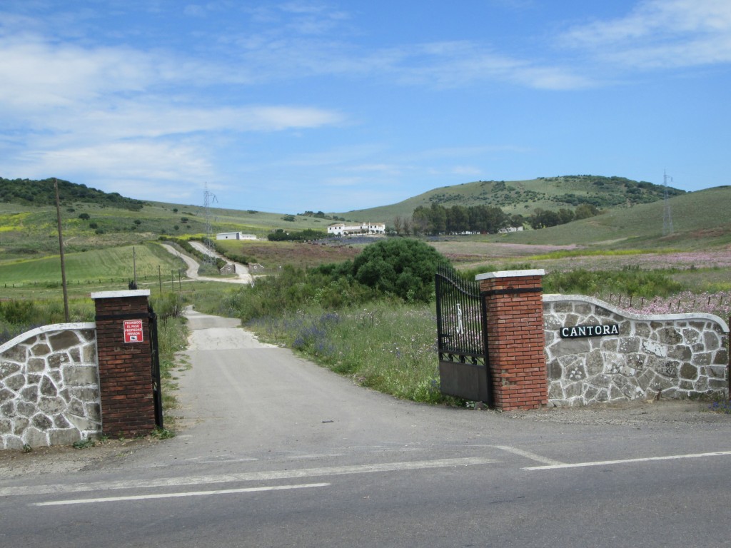 Foto: Entrada a Cantora - Medina Sidonia (Cádiz), España