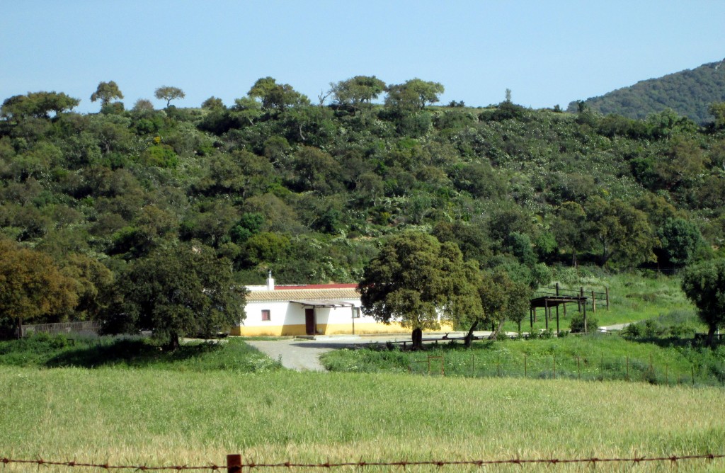 Foto: Casa en el Cabezón - Medina Sidonia (Cádiz), España