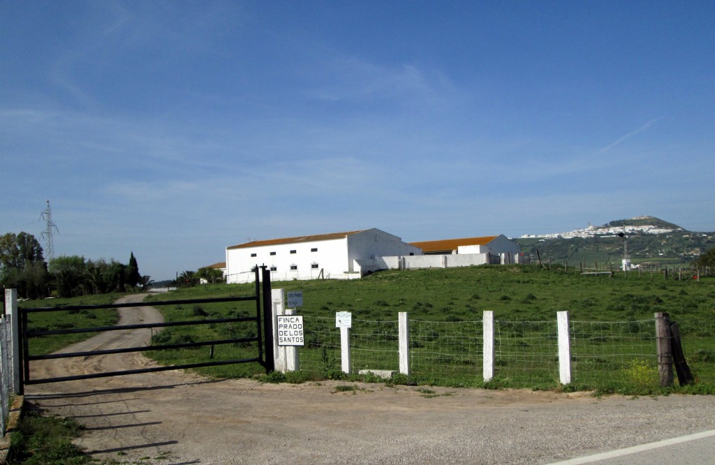 Foto: Finca Prado de los Santos - Medina Sidonia (Cádiz), España