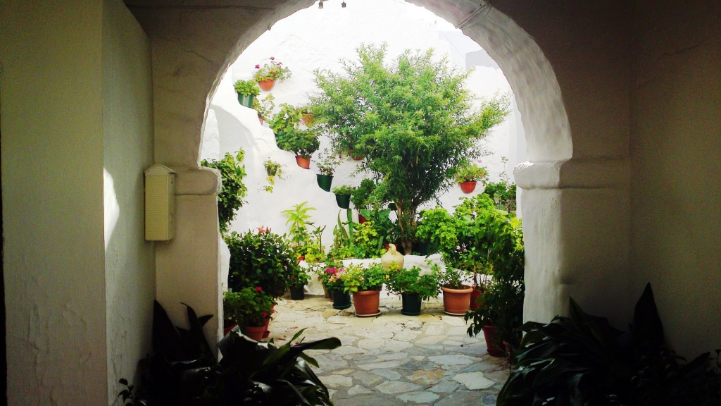 Foto: Patio típico - Medina Sidonia (Cádiz), España