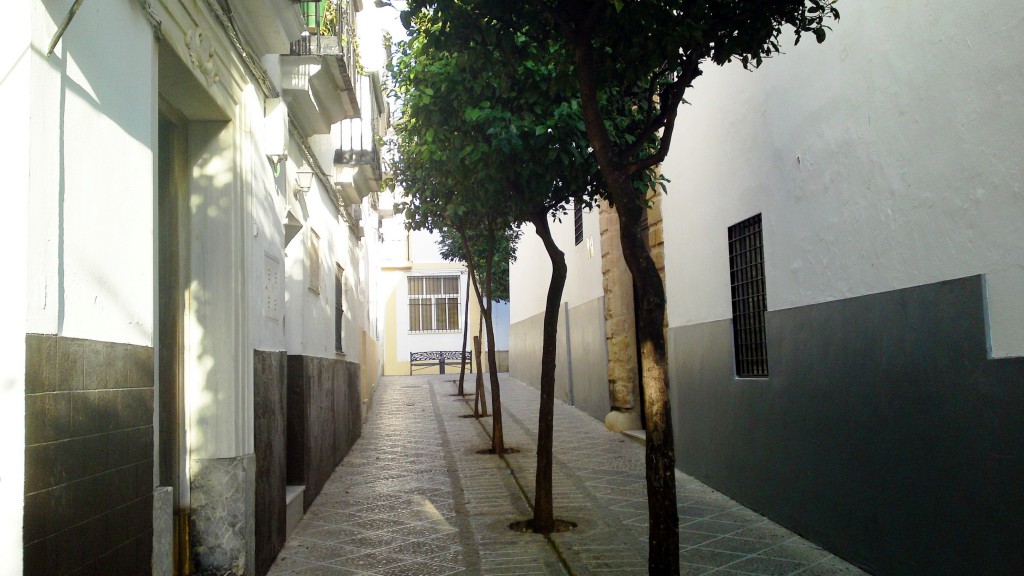 Foto: Calle Hercules - Medina Sidonia (Cádiz), España