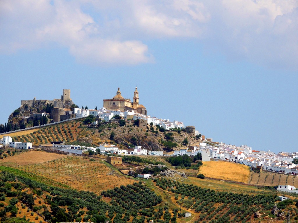 Foto: Vista de Olvera - Olvera (Cádiz), España