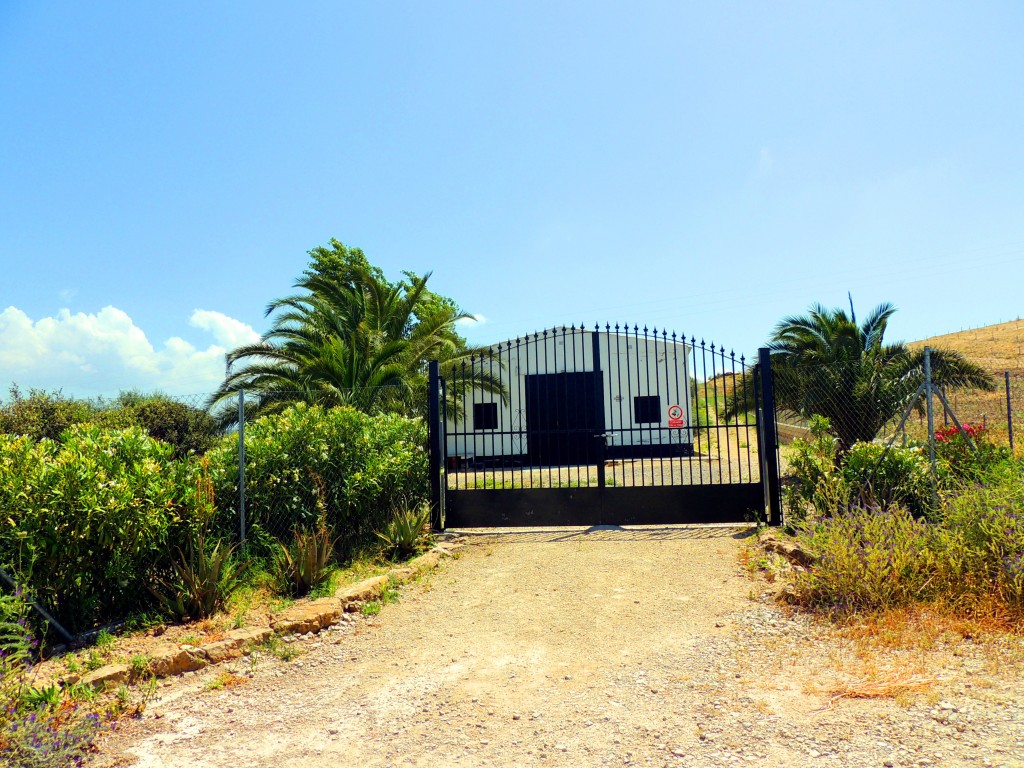 Foto: Finca las Palmosa - Olvera (Cádiz), España