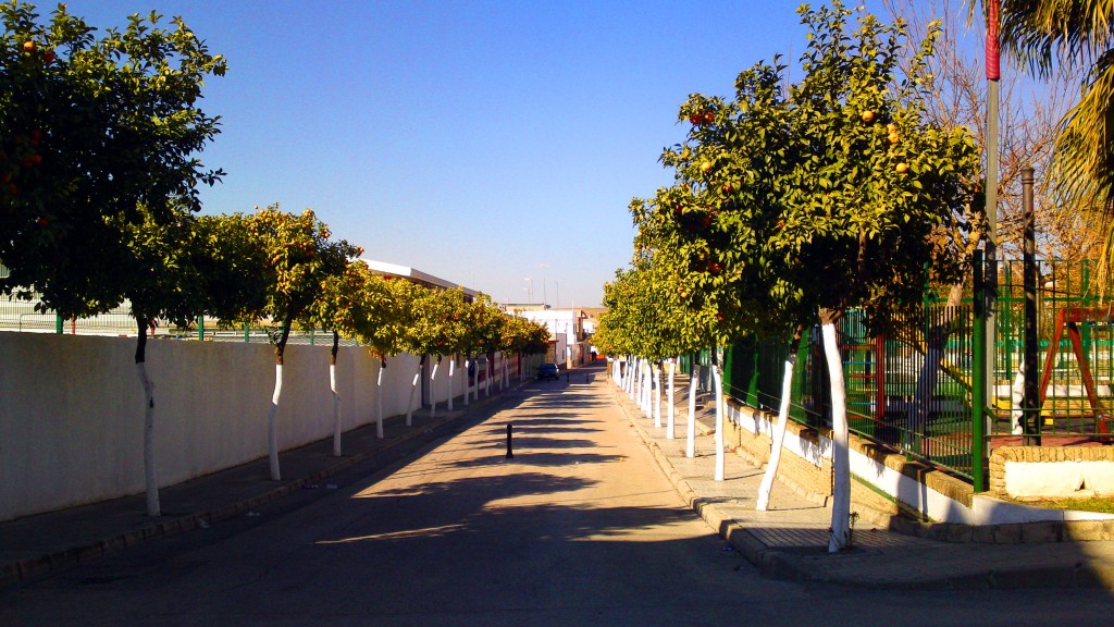 Foto: Calle Bugambilla - Puerto Serrano (Cádiz), España