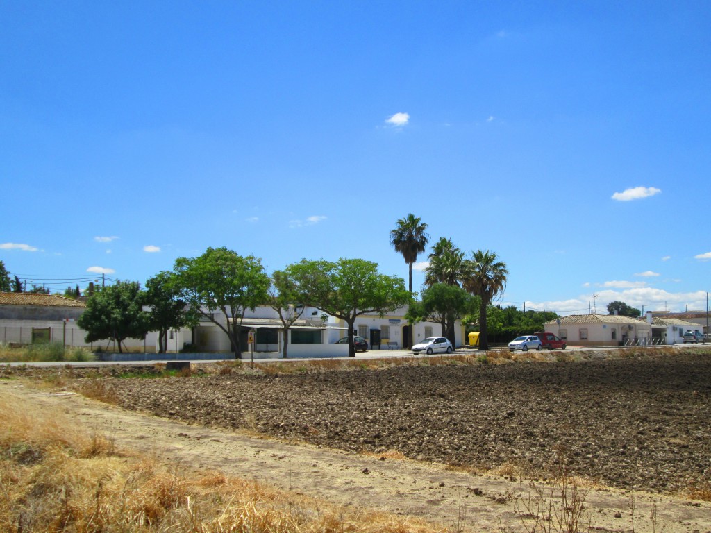 Foto: Desde la carretera - Rajamancera (Cádiz), España