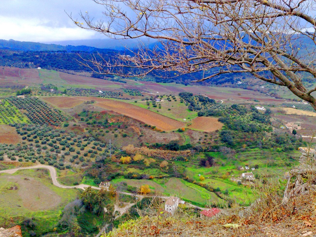 Foto: Camino de los Molinos - Ronda (Málaga), España