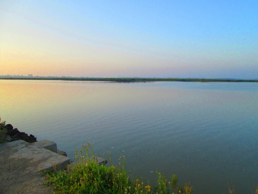 Foto: Caño Sancti Petri - San Fernando (Cádiz), España
