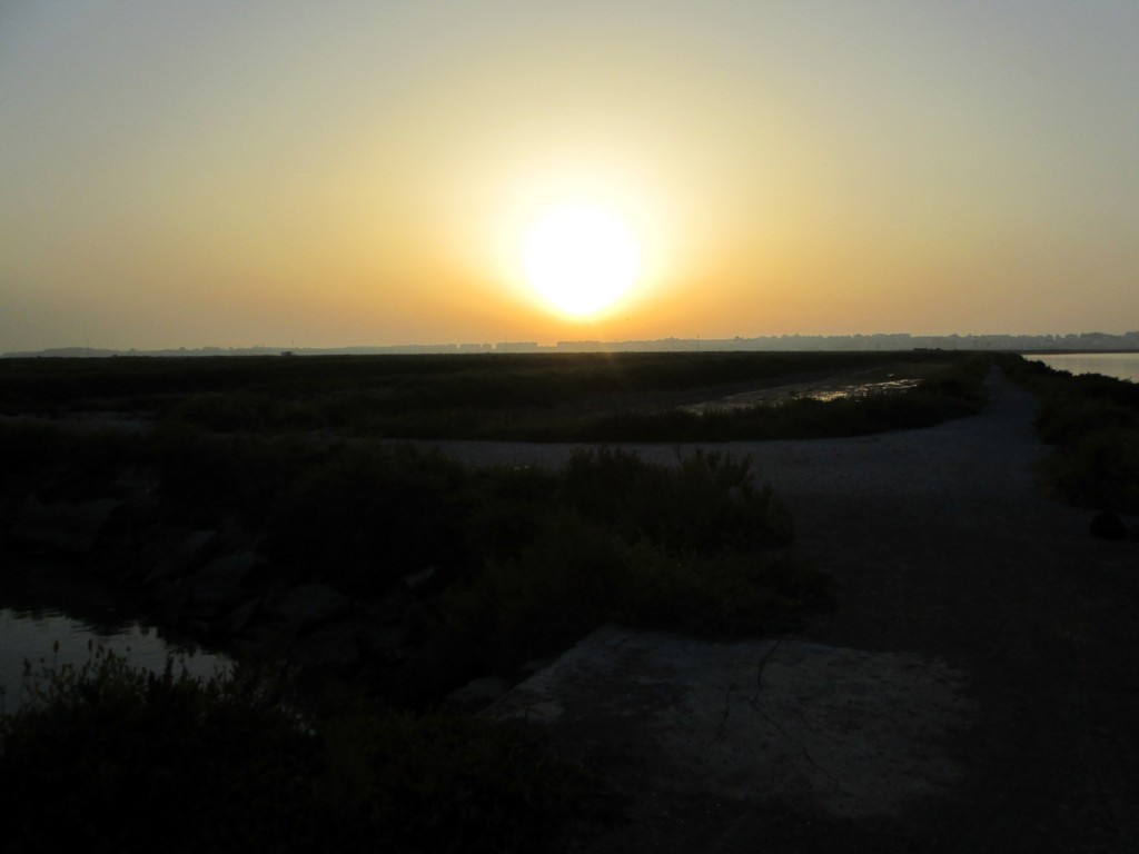 Foto: Ocaso en la marísma - San Fernando (Cádiz), España