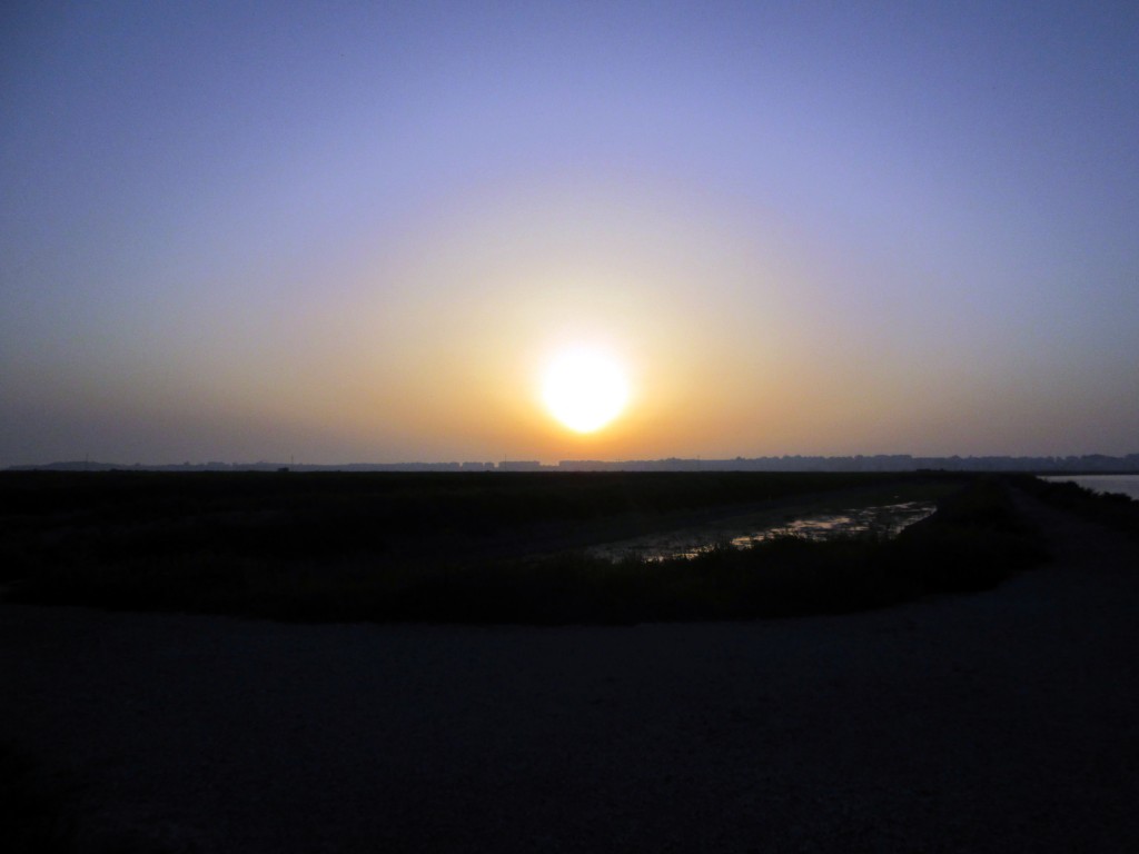 Foto: Puesta de sol en la marisma - San Fernando (Cádiz), España