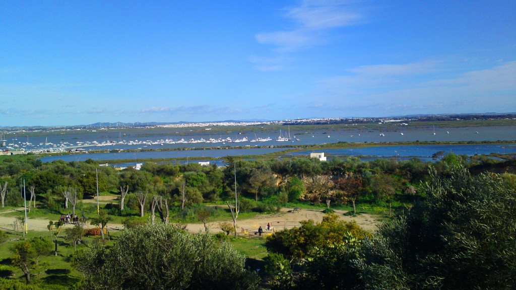 Foto: Parque del Cerro - San Fernando (Cádiz), España