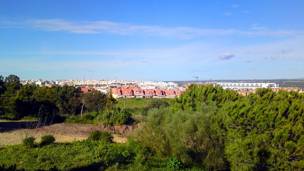 Foto: Parque del Cerro - San Fernando (Cádiz), España