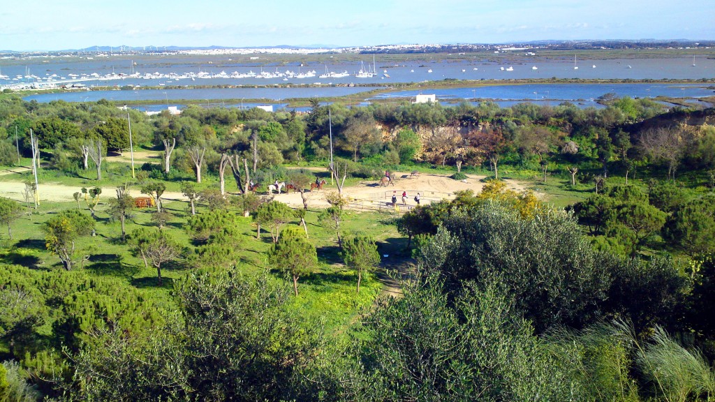 Foto: Parque del Cerro - San Fernando (Cádiz), España