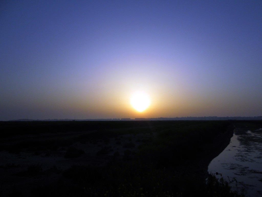 Foto: Ocaso - San Fernando (Cádiz), España