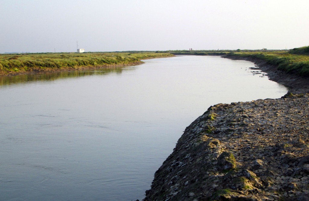 Foto: Caño Carrascón - San Fernando (Cádiz), España