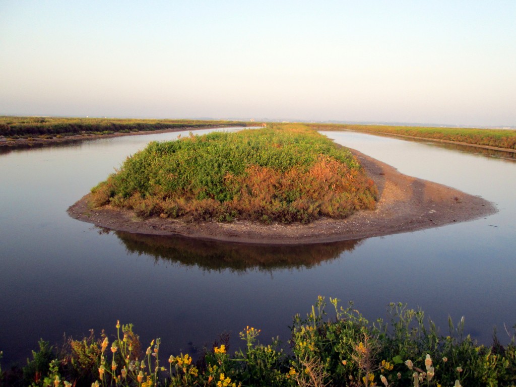 Foto: Los Muros - San Fernando (Cádiz), España