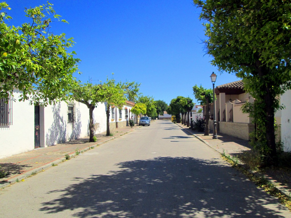 Foto: Calle Quejío - San Isidro de Guadalete (Cádiz), España