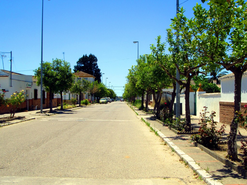 Foto: Calle el Torno - San Isidro de Guadalete (Cádiz), España