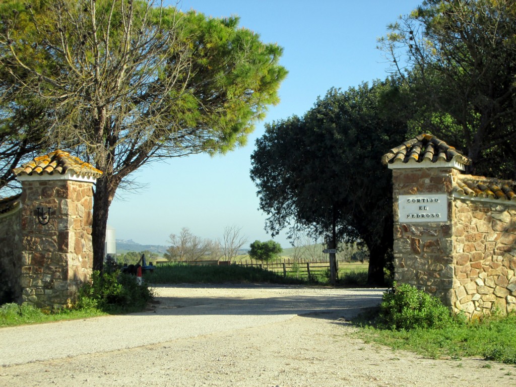 Foto: Cortijo El Pedroso - San José del Pedroso (Cádiz), España