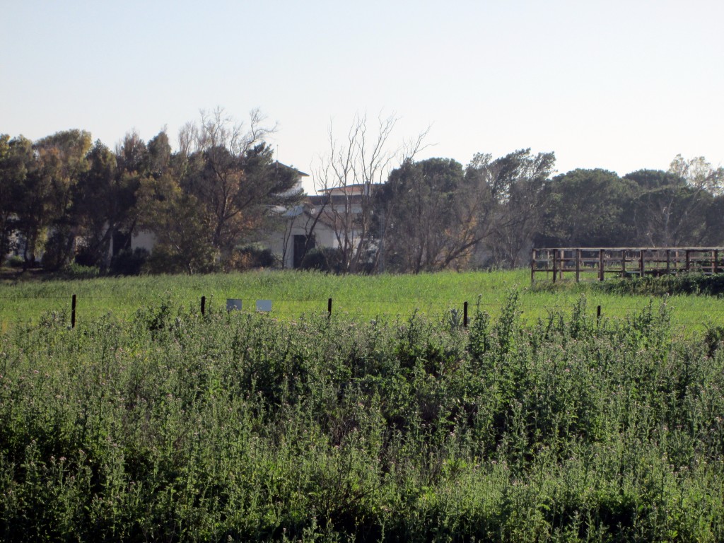 Foto: Cortijo El Pedroso - San José del Pedroso (Cádiz), España