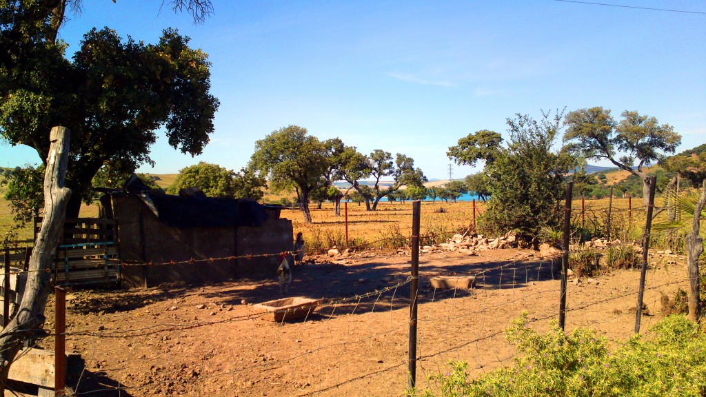Foto: Al fondo el pantano - San José del Valle (Cádiz), España