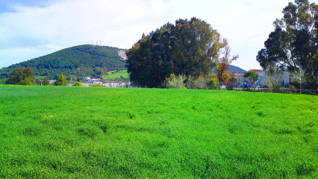 Foto: Monte de la Cruz desde la Garganta - San José del Valle (Cádiz), España