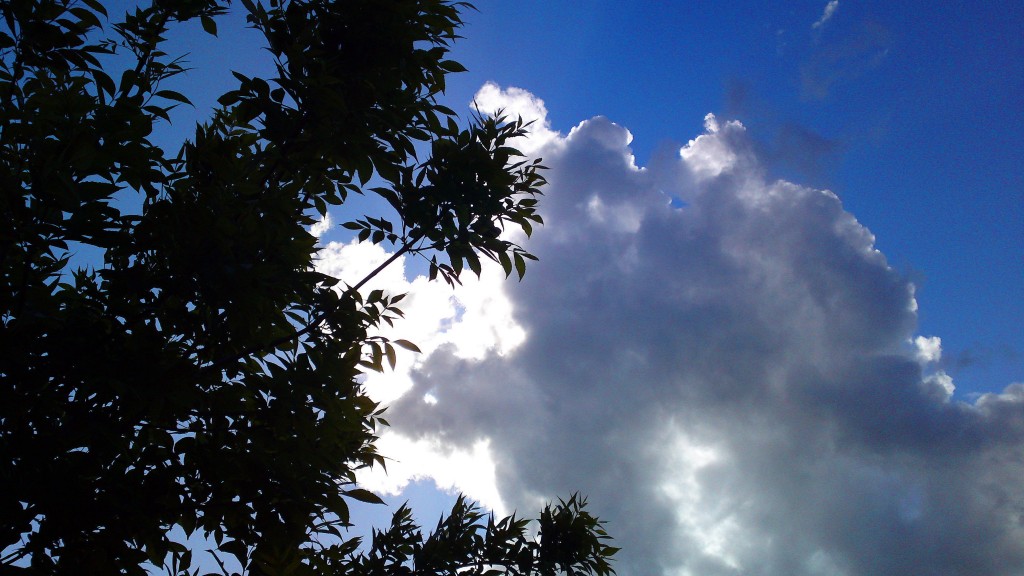 Foto: Tormenta en el Valle - San José del Valle (Cádiz), España