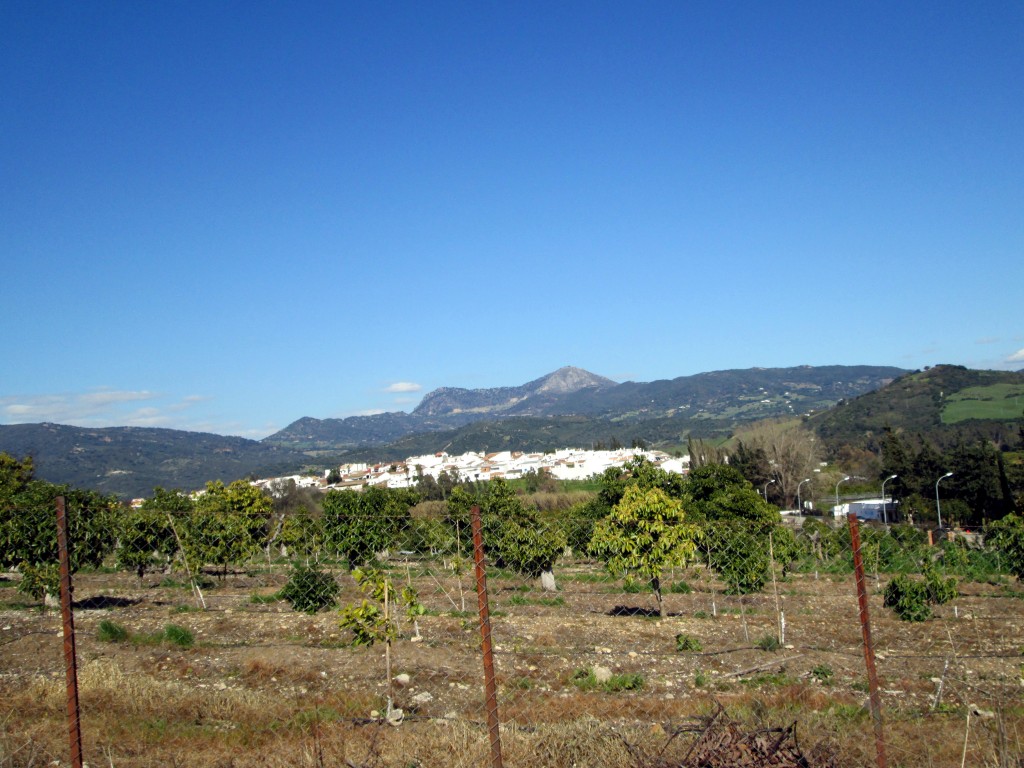 Foto: Vista de San Pablo de Buceite - San Pablo de Buceite (Cádiz), España