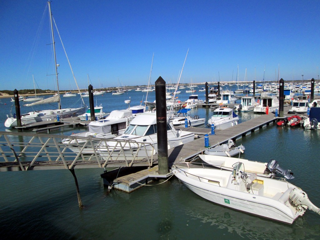 Foto: Yates - Sancti Petri (Cádiz), España