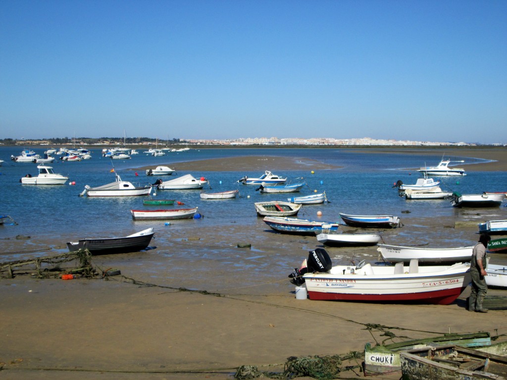 Foto: Al fondo San Fernando - Sancti Petri (Cádiz), España