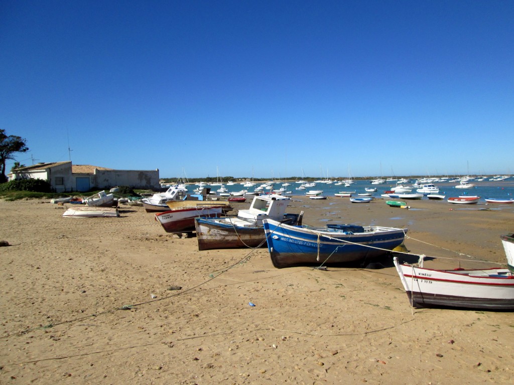 Foto: Varados en la playa - Sancti Petri (Cádiz), España