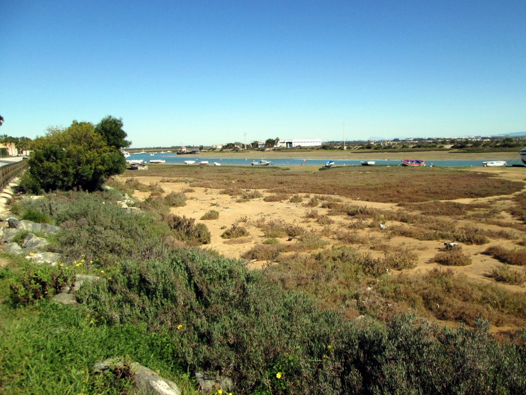Foto: Marisma - Sancti Petri (Cádiz), España