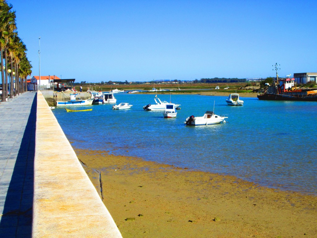Foto: Muelle de pesqueros - Sancti Petri (Cádiz), España