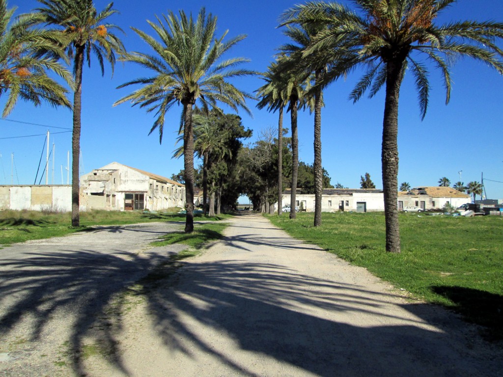 Foto: El poblado - Sancti Petri (Cádiz), España