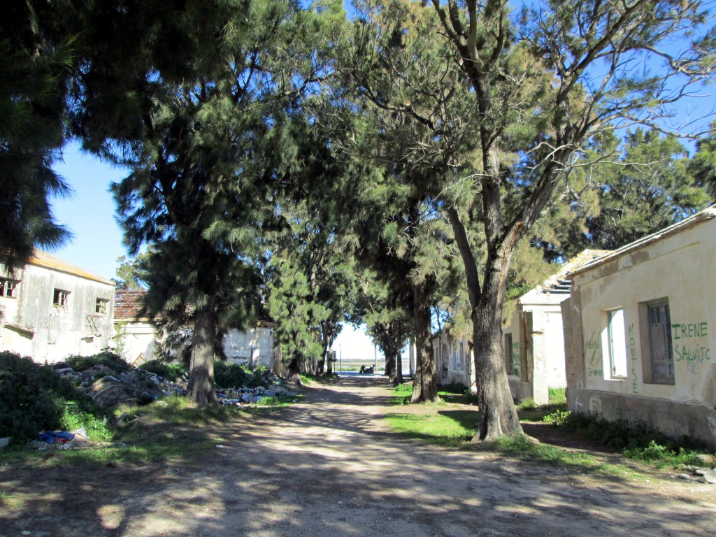 Foto: Antiguo poblado - Sancti Petri (Cádiz), España