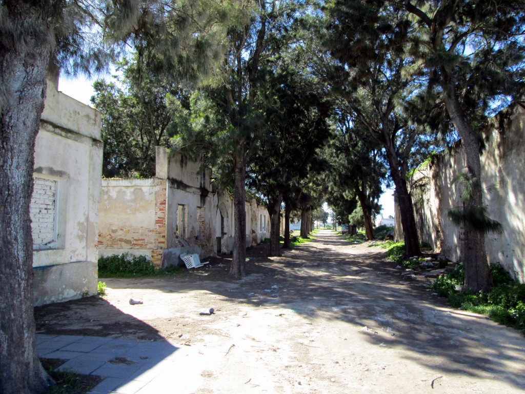 Foto: Ruinas del antiguo poblado - Sancti Petri (Cádiz), España