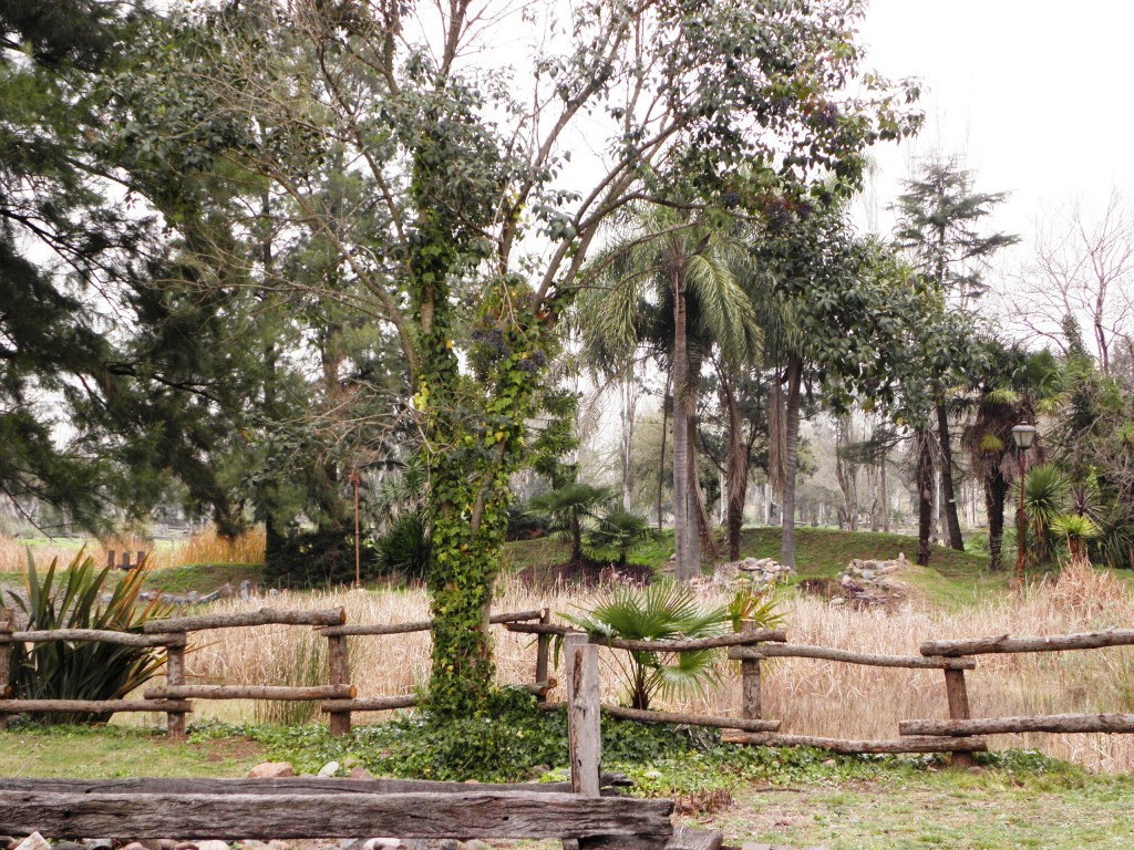 Foto: Campanópolis - González Catán (Buenos Aires), Argentina